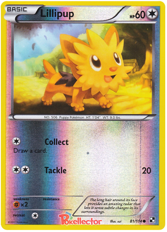 x4 Lillipup 81/114 Common Pokemon Black & White Play Set Evolution Cards