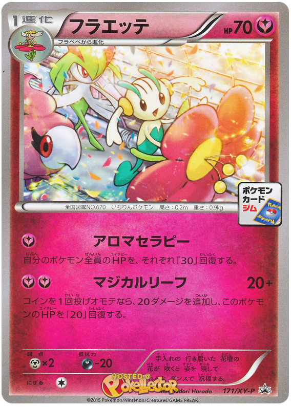 Floette Xy Promos 171 Pokemon Card