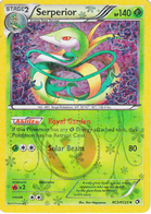 Radiant Collection Pokemon Card Set List