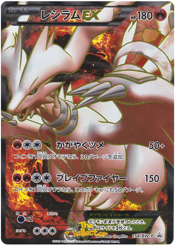 Zekrom-EX - 159/BW-P - Special Pack - EX Holo - Pokemon Promo