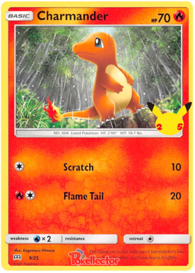 Coleção Completa Pokémon McDonald's 2020 - Brindes e Cards 