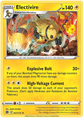 Raikou V #48/172 SWSH Brilliant Stars Ultra Rare Holo Half Art Pokemon 2022  TCG