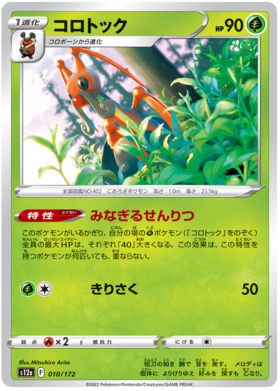 Pokemon Card “Raikou V” 218/172 S12a Korean Ver (SAR) – K-TCG